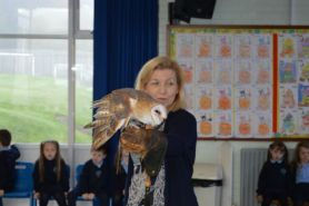 Birds of Prey Display with Ian Patterson