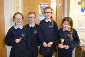 O'Kane Charity Feis