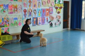 Dogs' Trust