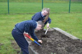 School Garden