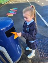 Shape Hunt