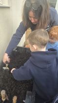 Bulb planting