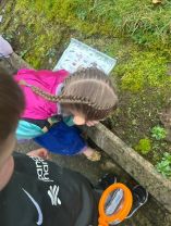 P1/2 Minibeast and bug hunts