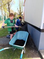 Eco planting and tidy up